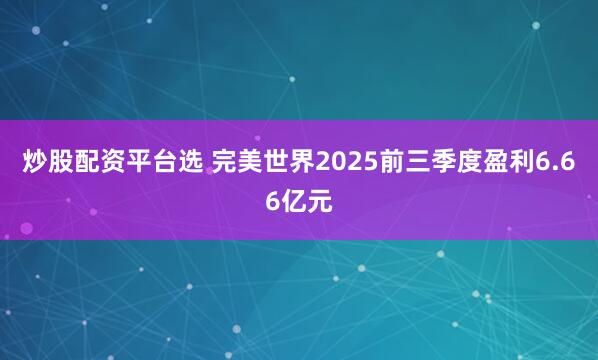 炒股配资平台选 完美世界2025前三季度盈利6.66亿元